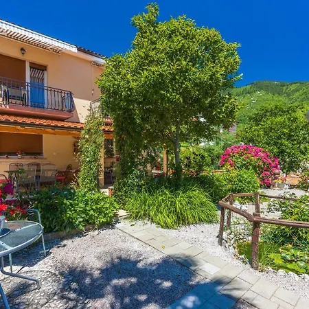 Apartment Branka *