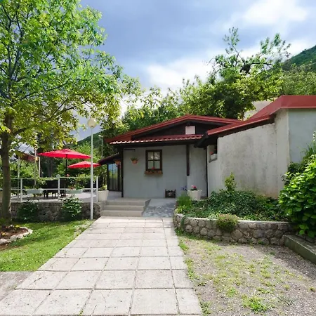 Apartment Branka *