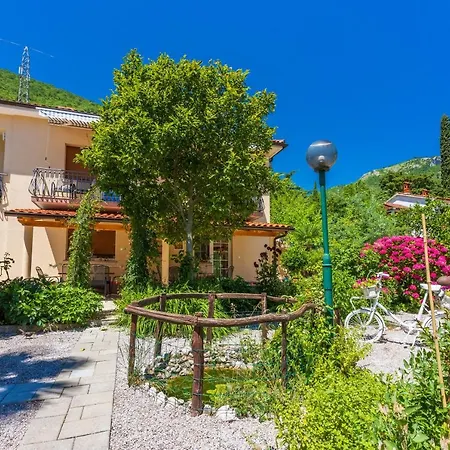 Apartment Branka