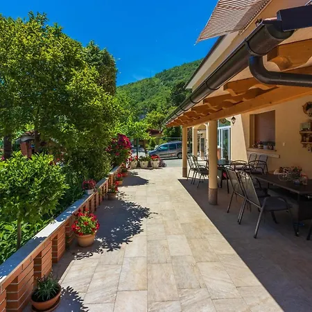 Apartment Branka
