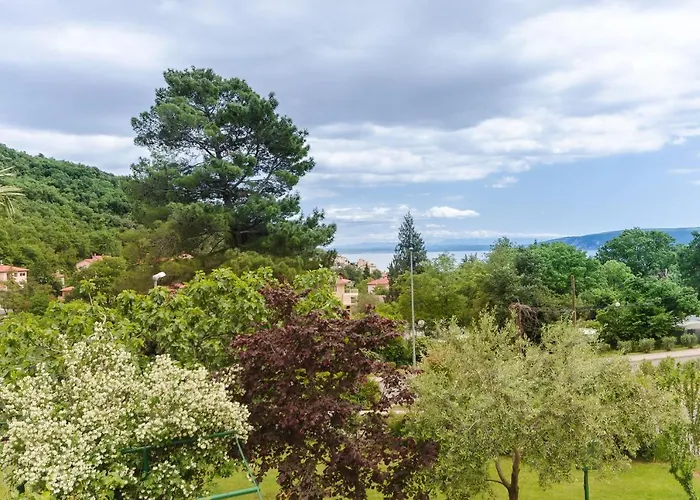 Apartament Branka