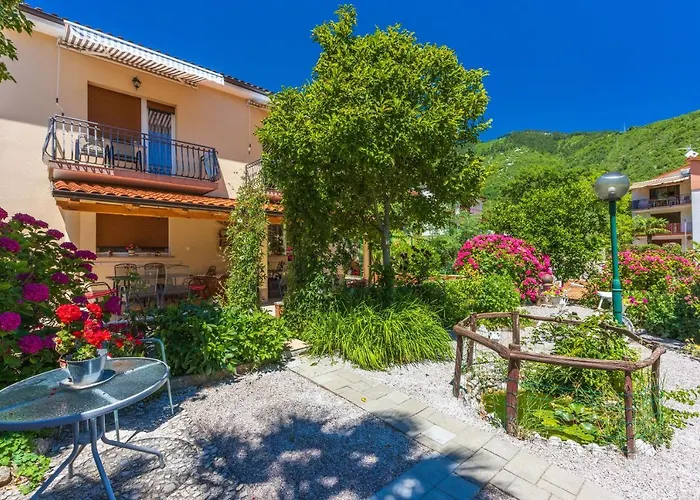 Apartament Branka *