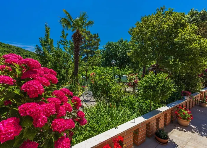 Branka Mošćenička Draga